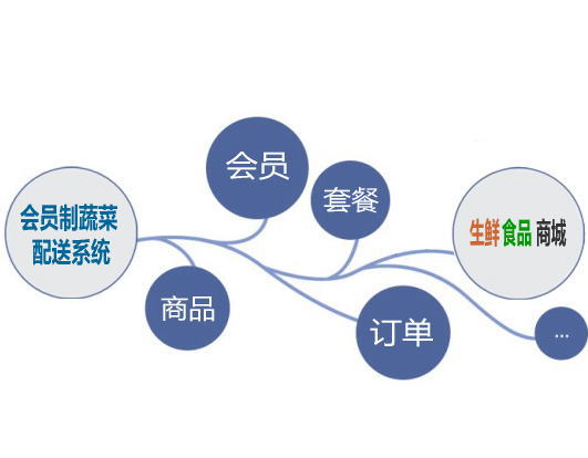与优点蔬菜配送系统数据无缝对接